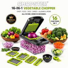 16-in-1 Vegetable Chopper